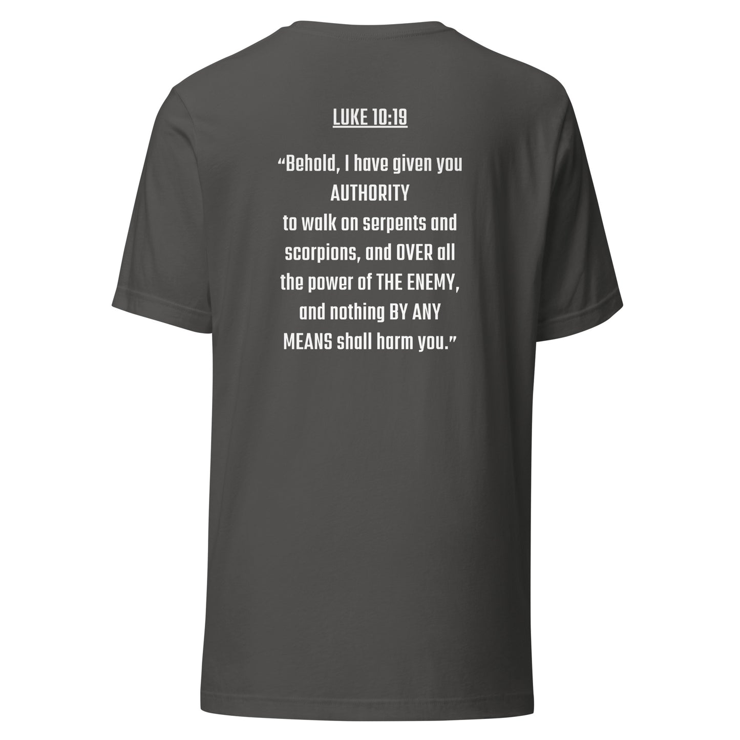 Walking In Authority (Luke 10:19) Men's T-Shirt