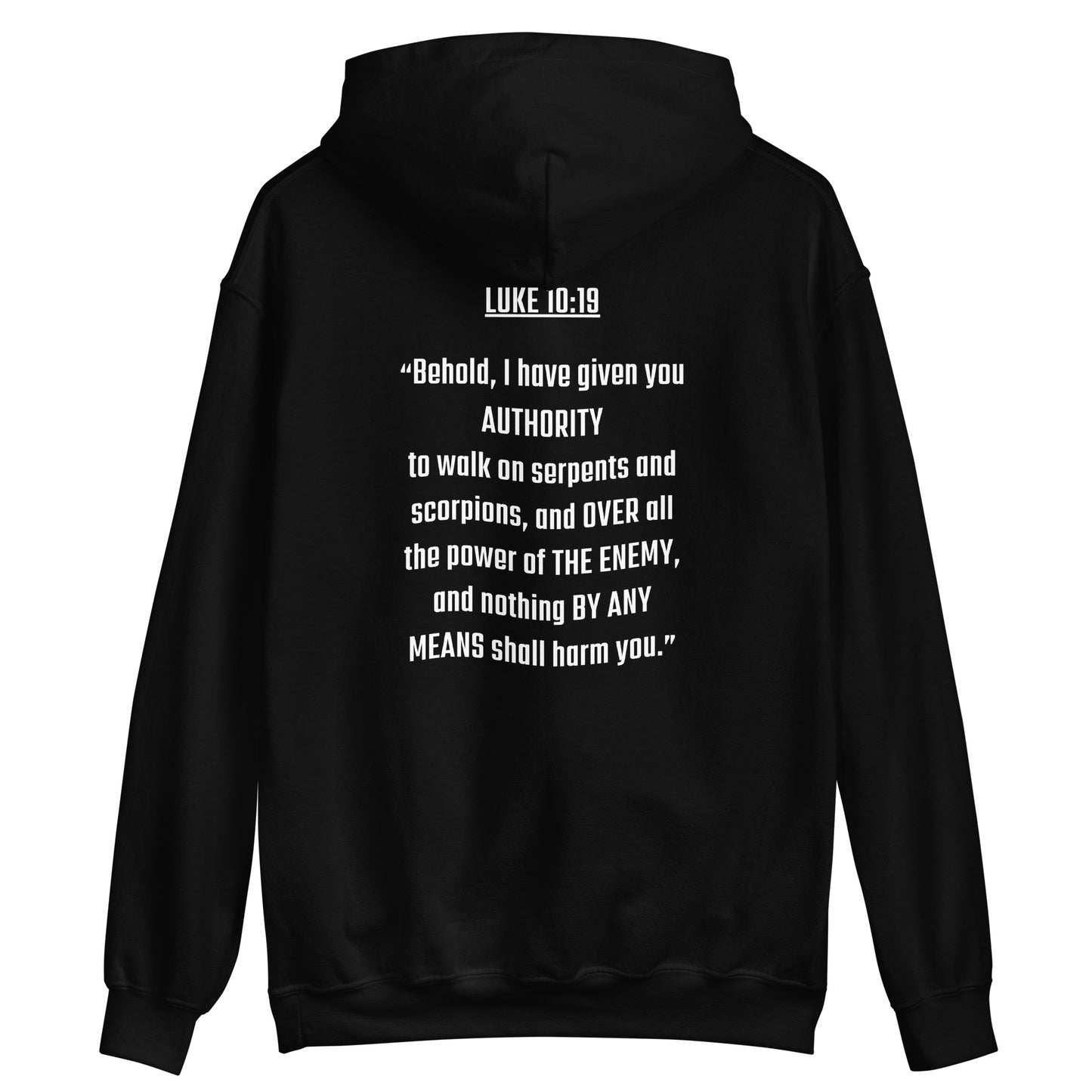 Walking In Authority (Luke 10:19) Men's Hoodie