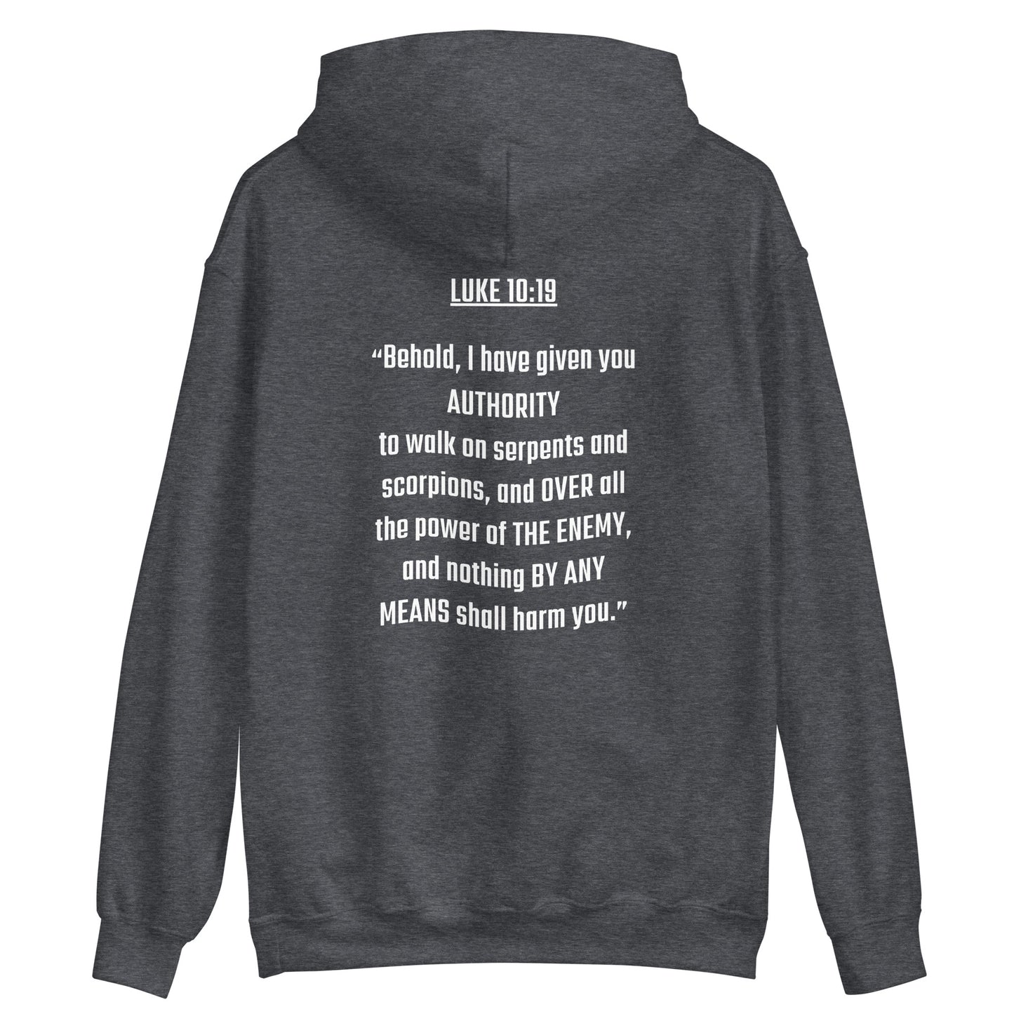 Walking In Authority (Luke 10:19) Women's Hoodie